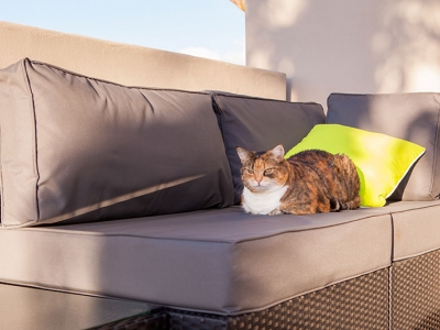 The cat loves the new balcony | New home builders