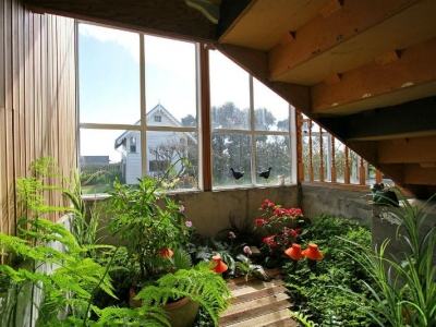 Plants Under the Stairs | New Plymouth Builders